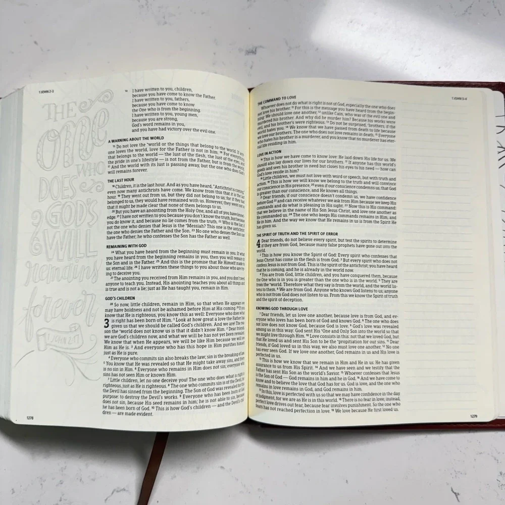 Holman Notetaking Bible HCSB Brown LeatherTouch Illustrator Edition